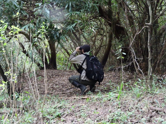 RPUM Doña Sofía (74)