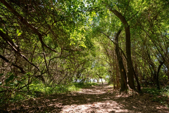 Reserva El Pindo (2)