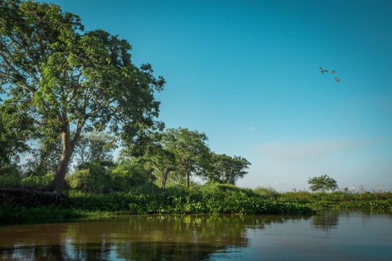 RPUM Doña Sofía (41)