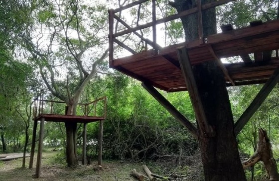 RPUM Doña Sofía (43)