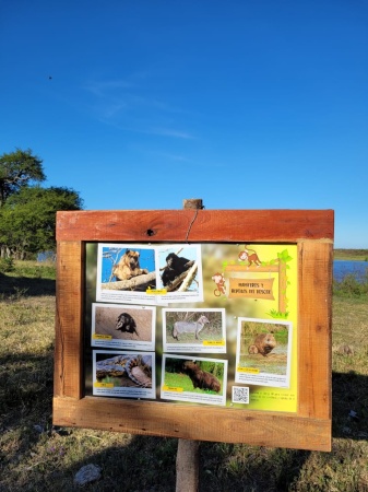 RPUM Doña Sofía (50)