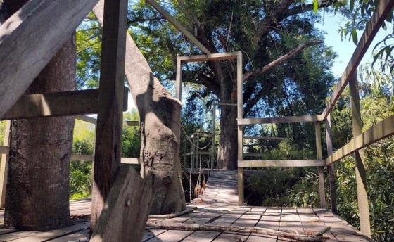 RPUM Doña Sofía (65)