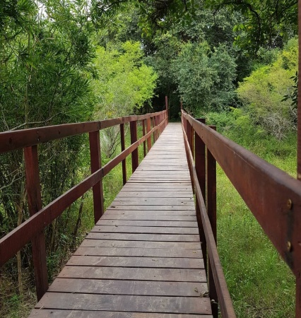 RPUM Doña Sofía (66)