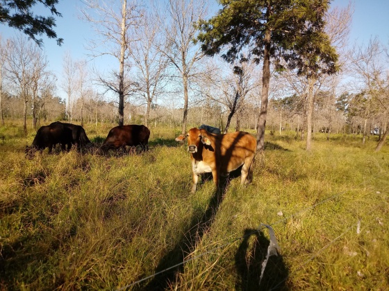 WhatsApp Image 2024-03-18 at 09.30.38 (1)