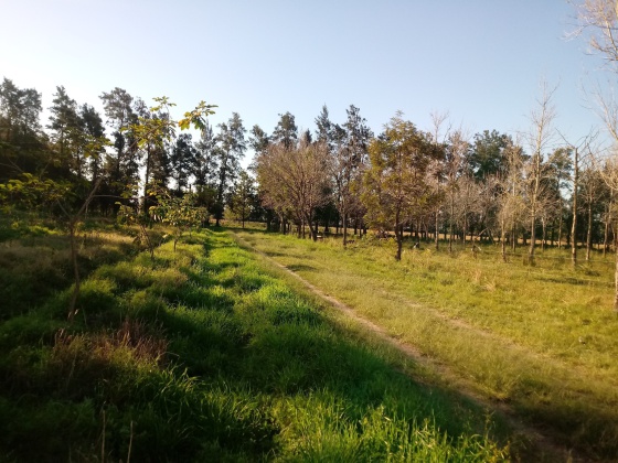 WhatsApp Image 2024-03-18 at 09.30.38