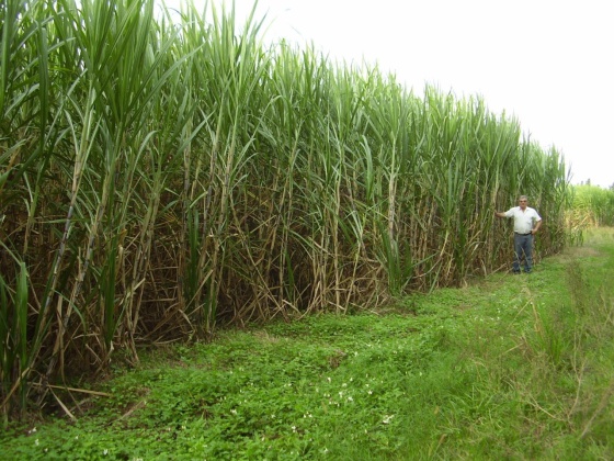 WhatsApp Image 2024-03-18 at 09.30.23 (1)