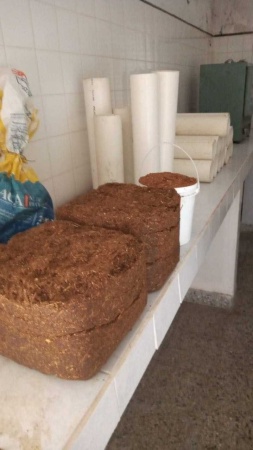 WhatsApp Image 2024-03-18 at 09.30.24