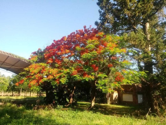 WhatsApp Image 2024-03-18 at 09.30.25