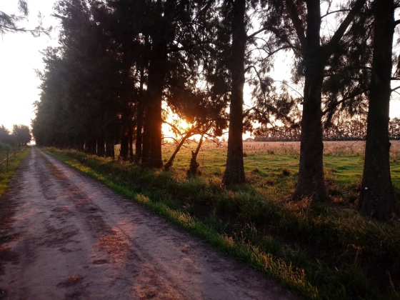 WhatsApp Image 2024-03-18 at 09.30.37