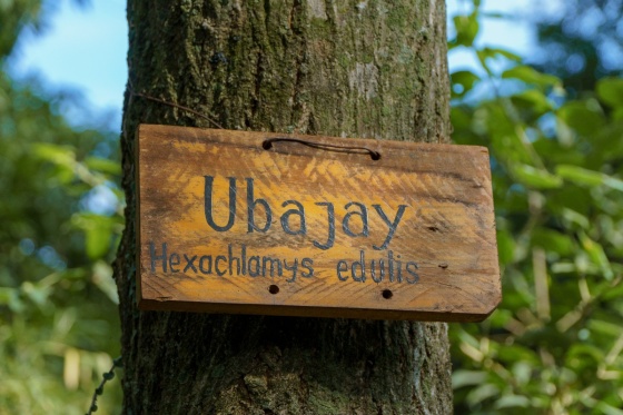 WhatsApp Image 2025-09-15 at 08.41.48