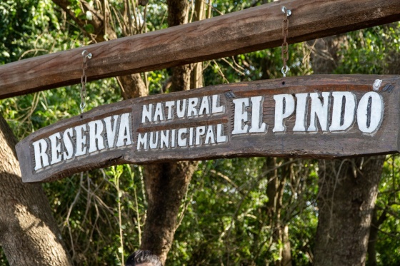 WhatsApp Image 2025-09-15 at 08.41.23 (1)