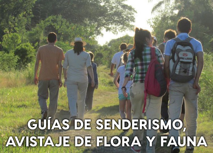 guiasMesa de trabajo 2
