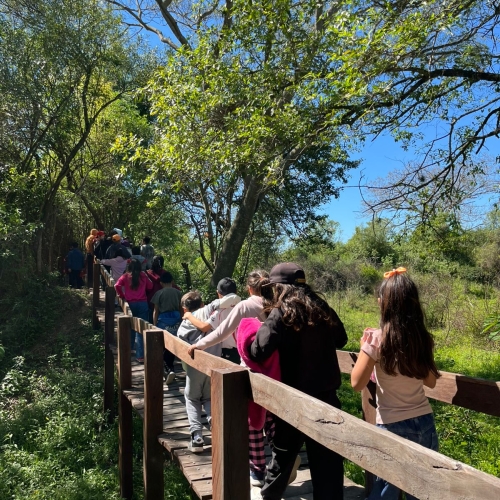 WhatsApp Image 2025 10 13 At 083723