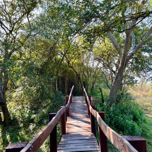 WhatsApp Image 2025 10 13 At 083725